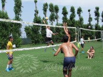 MikyVolley2019 259